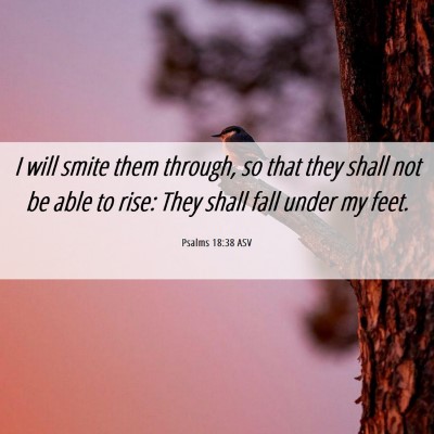 Picture 06 - Psalms 18:38 ASV - I will smite them through, so that they shall not - Bible Verse Picture