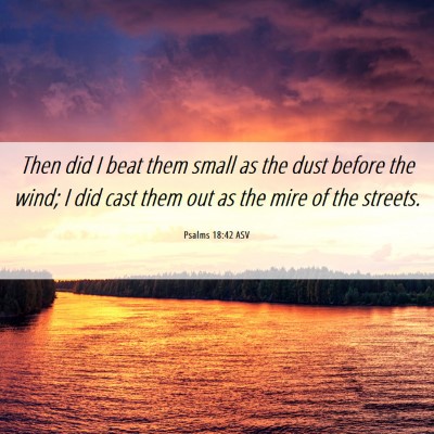 Picture 06 - Psalms 18:42 ASV - Then did I beat them small as the dust before the - Bible Verse Picture