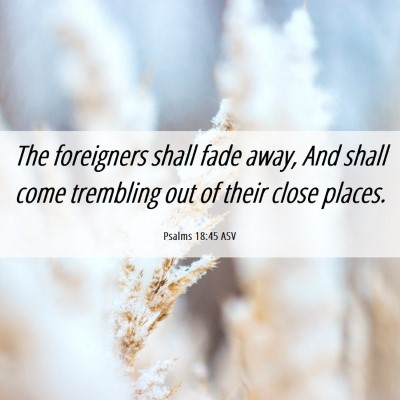 Picture 06 - Psalms 18:45 ASV - The foreigners shall fade away, And shall come - Bible Verse Picture
