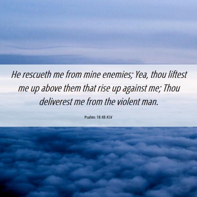 Picture 06 - Psalms 18:48 ASV - He rescueth me from mine enemies; Yea, thou - Bible Verse Picture
