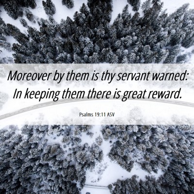Picture 06 - Psalms 19:11 ASV - Moreover by them is thy servant warned: In - Bible Verse Picture
