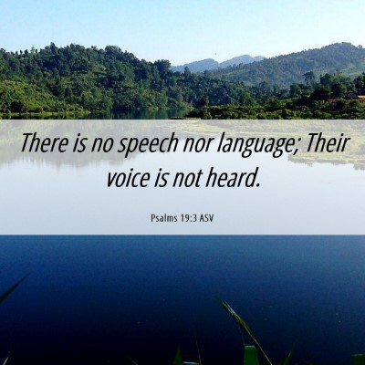Picture 06 - Psalms 19:3 ASV - There is no speech nor language; Their voice is - Bible Verse Picture