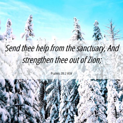Picture 06 - Psalms 20:2 ASV - Send thee help from the sanctuary, And strengthen - Bible Verse Picture