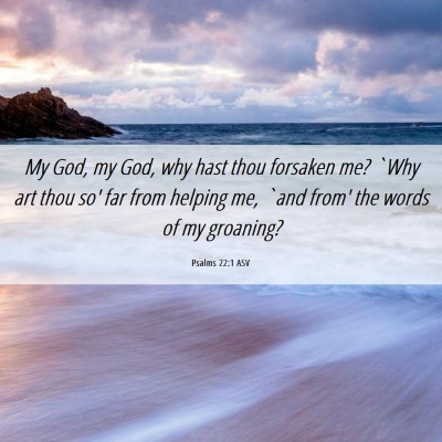 Picture 06 - Psalms 22:1 ASV - My God, my God, why hast thou forsaken me? `Why - Bible Verse Picture