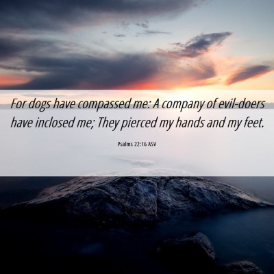 Picture 06 - Psalms 22:16 ASV - For dogs have compassed me: A company of - Bible Verse Picture