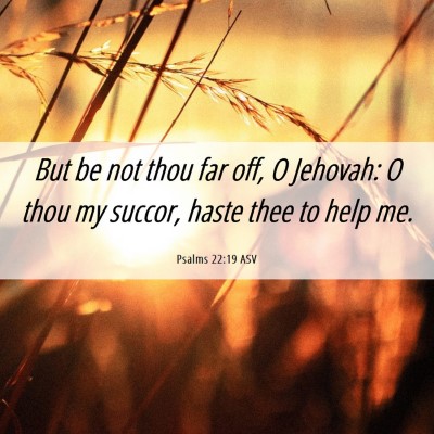 Picture 06 - Psalms 22:19 ASV - But be not thou far off, O Jehovah: O thou my - Bible Verse Picture