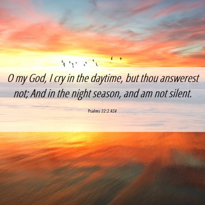 Picture 06 - Psalms 22:2 ASV - O my God, I cry in the daytime, but thou - Bible Verse Picture