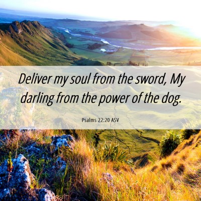Picture 06 - Psalms 22:20 ASV - Deliver my soul from the sword, My darling from - Bible Verse Picture