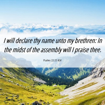 Picture 06 - Psalms 22:22 ASV - I will declare thy name unto my brethren: In the - Bible Verse Picture