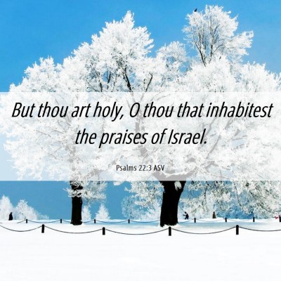 Picture 06 - Psalms 22:3 ASV - But thou art holy, O thou that inhabitest the - Bible Verse Picture