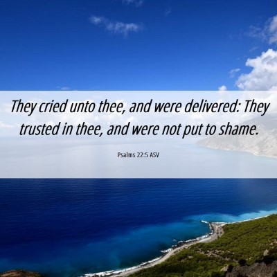 Picture 06 - Psalms 22:5 ASV - They cried unto thee, and were delivered: They - Bible Verse Picture