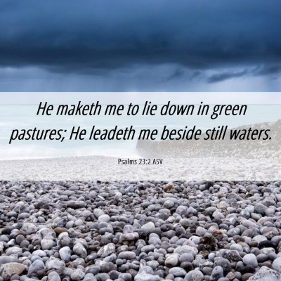 Picture 06 - Psalms 23:2 ASV - He maketh me to lie down in green pastures; He - Bible Verse Picture