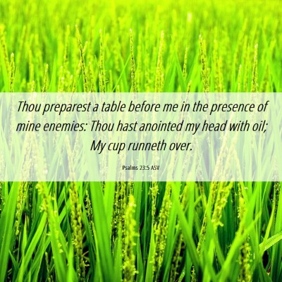 Picture 06 - Psalms 23:5 ASV - Thou preparest a table before me in the presence - Bible Verse Picture
