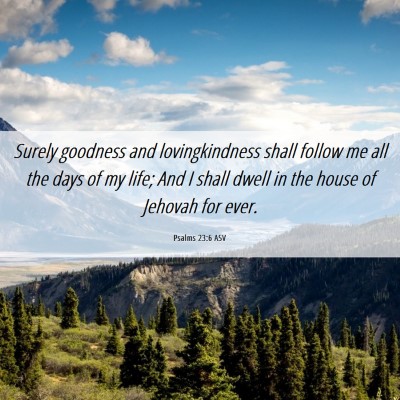Picture 06 - Psalms 23:6 ASV - Surely goodness and lovingkindness shall follow - Bible Verse Picture