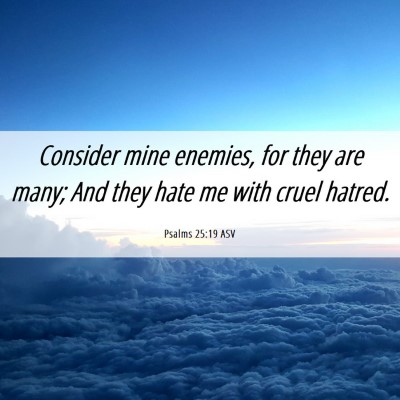 Picture 06 - Psalms 25:19 ASV - Consider mine enemies, for they are many; And - Bible Verse Picture
