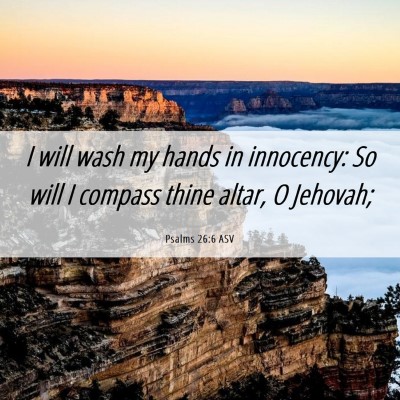 Picture 06 - Psalms 26:6 ASV - I will wash my hands in innocency: So will I - Bible Verse Picture
