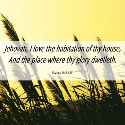 Picture 06 - Psalms 26:8 ASV - Jehovah, I love the habitation of thy house, And - Bible Verse Picture