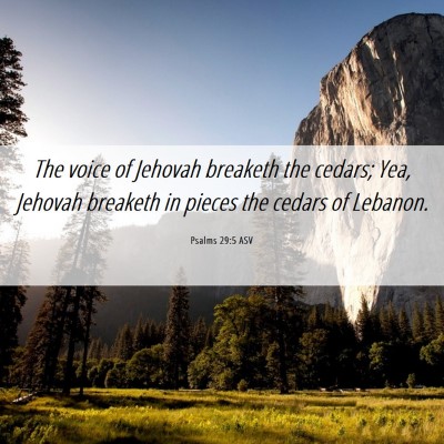 Picture 06 - Psalms 29:5 ASV - The voice of Jehovah breaketh the cedars; Yea, - Bible Verse Picture