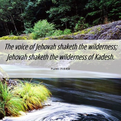Picture 06 - Psalms 29:8 ASV - The voice of Jehovah shaketh the wilderness; - Bible Verse Picture