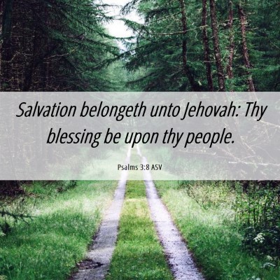 Picture 06 - Psalms 3:8 ASV - Salvation belongeth unto Jehovah: Thy blessing be - Bible Verse Picture
