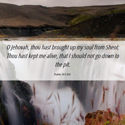 Picture 06 - Psalms 30:3 ASV - O Jehovah, thou hast brought up my soul from - Bible Verse Picture