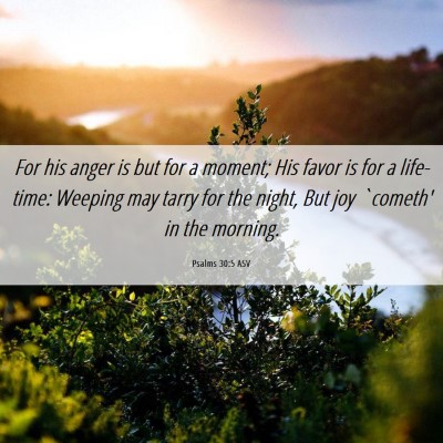Picture 06 - Psalms 30:5 ASV - For his anger is but for a moment; His favor is - Bible Verse Picture