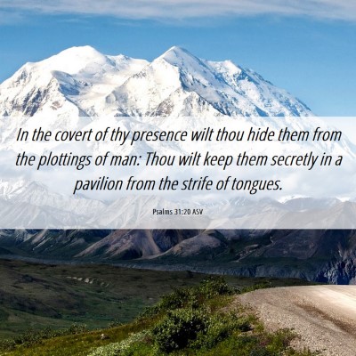 Picture 06 - Psalms 31:20 ASV - In the covert of thy presence wilt thou hide them - Bible Verse Picture