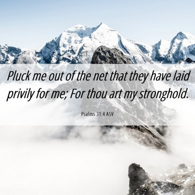 Picture 06 - Psalms 31:4 ASV - Pluck me out of the net that they have laid - Bible Verse Picture