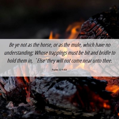 Picture 06 - Psalms 32:9 ASV - Be ye not as the horse, or as the mule, which - Bible Verse Picture