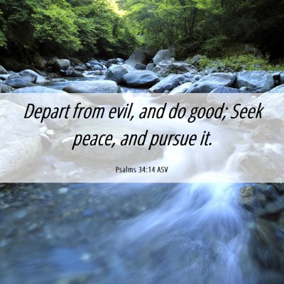 Picture 06 - Psalms 34:14 ASV - Depart from evil, and do good; Seek peace, and - Bible Verse Picture