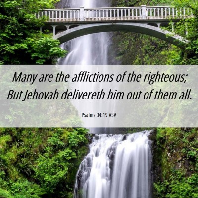 Picture 06 - Psalms 34:19 ASV - Many are the afflictions of the righteous; But - Bible Verse Picture