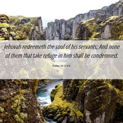 Picture 06 - Psalms 34:22 ASV - Jehovah redeemeth the soul of his servants; And - Bible Verse Picture