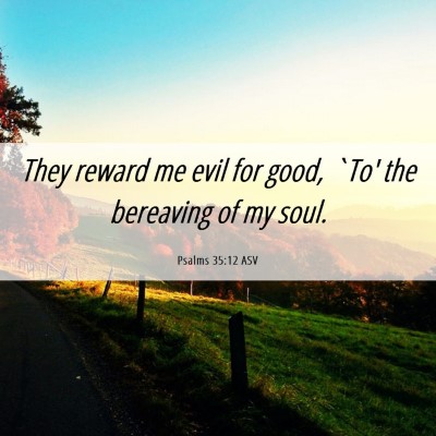 Picture 06 - Psalms 35:12 ASV - They reward me evil for good, `To' the bereaving - Bible Verse Picture