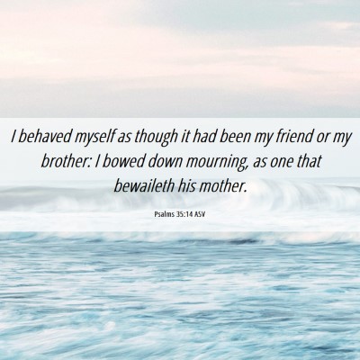 Picture 06 - Psalms 35:14 ASV - I behaved myself as though it had been my friend - Bible Verse Picture