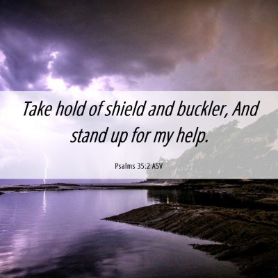 Picture 06 - Psalms 35:2 ASV - Take hold of shield and buckler, And stand up for - Bible Verse Picture