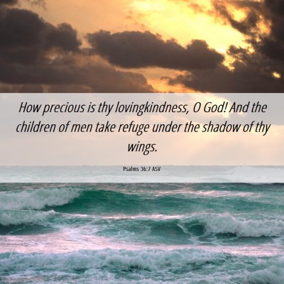 Picture 06 - Psalms 36:7 ASV - How precious is thy lovingkindness, O God! And - Bible Verse Picture