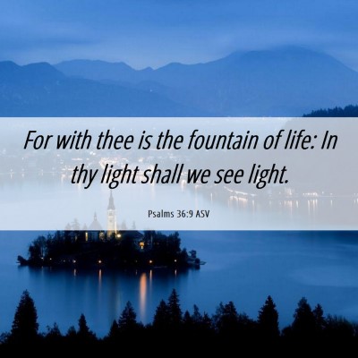 Picture 06 - Psalms 36:9 ASV - For with thee is the fountain of life: In thy - Bible Verse Picture