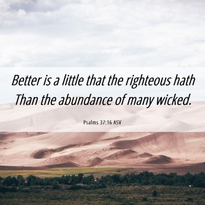 Picture 06 - Psalms 37:16 ASV - Better is a little that the righteous hath Than - Bible Verse Picture