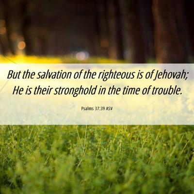 Picture 06 - Psalms 37:39 ASV - But the salvation of the righteous is of Jehovah; - Bible Verse Picture