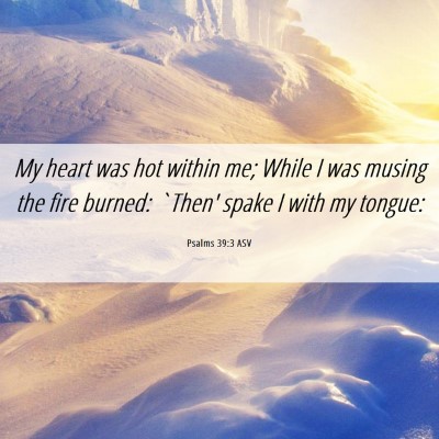 Picture 06 - Psalms 39:3 ASV - My heart was hot within me; While I was musing - Bible Verse Picture