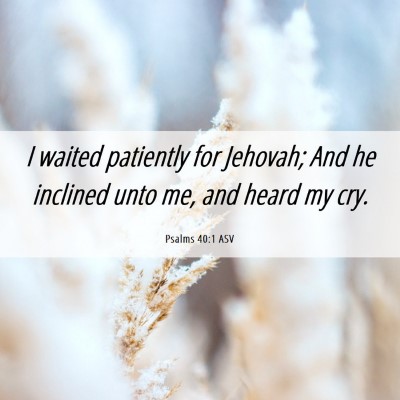 Picture 06 - Psalms 40:1 ASV - I waited patiently for Jehovah; And he inclined - Bible Verse Picture