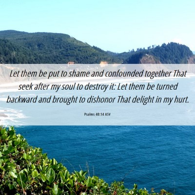 Picture 06 - Psalms 40:14 ASV - Let them be put to shame and confounded together - Bible Verse Picture