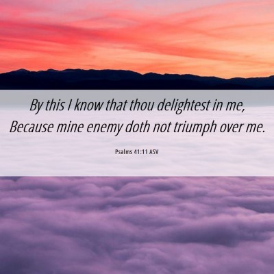 Picture 06 - Psalms 41:11 ASV - By this I know that thou delightest in me, - Bible Verse Picture