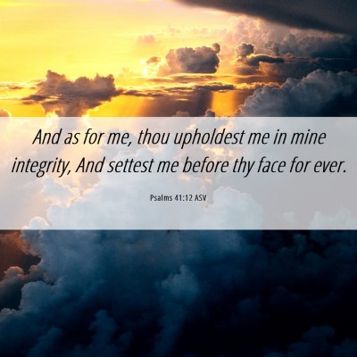 Picture 06 - Psalms 41:12 ASV - And as for me, thou upholdest me in mine - Bible Verse Picture