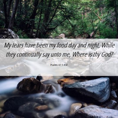 Picture 06 - Psalms 42:3 ASV - My tears have been my food day and night, While - Bible Verse Picture