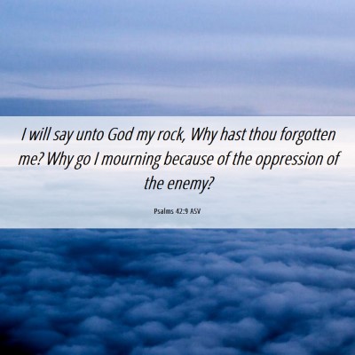 Picture 06 - Psalms 42:9 ASV - I will say unto God my rock, Why hast thou - Bible Verse Picture