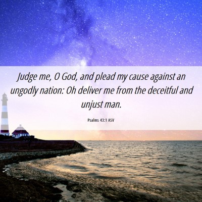 Picture 06 - Psalms 43:1 ASV - Judge me, O God, and plead my cause against an - Bible Verse Picture