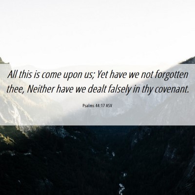 Picture 06 - Psalms 44:17 ASV - All this is come upon us; Yet have we not - Bible Verse Picture