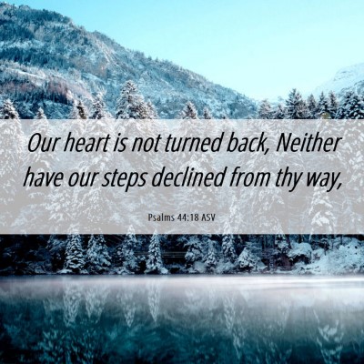 Picture 06 - Psalms 44:18 ASV - Our heart is not turned back, Neither have our - Bible Verse Picture