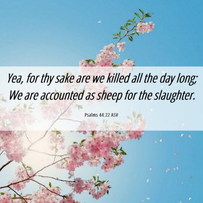 Picture 06 - Psalms 44:22 ASV - Yea, for thy sake are we killed all the day long; - Bible Verse Picture